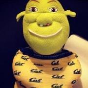 ItsPirrip