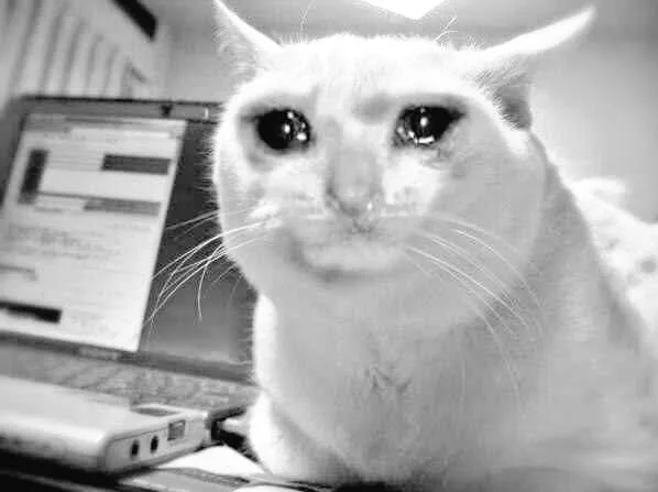 sadcat.png