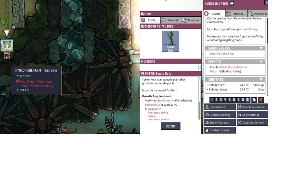 Tower kelp issue.jpg