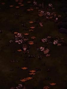 post-561197-0-08192100-1423164719_thumb.