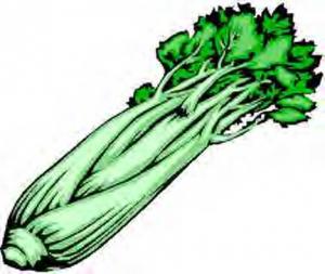 post-1667-1376459270933_thumb.jpg