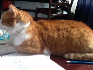 post-259947-0-77366000-1397917750_thumb.