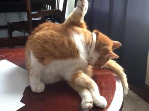 post-259947-0-93194300-1397918085_thumb.