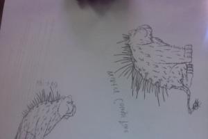 post-306300-0-67625600-1398866019_thumb.