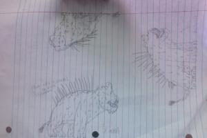 post-306300-0-82928400-1398865927_thumb.