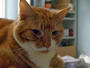 post-366867-0-71017100-1396969269_thumb.