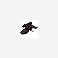 More information about "Evil Seeds"