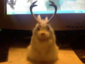 post-293252-0-52271900-1437376863_thumb.