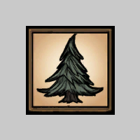 More information about "Evergreens forever"