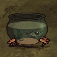 More information about "Aquarium"