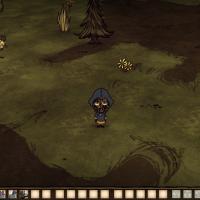 More information about "Wiz"