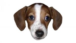 post-221337-0-19758700-1410475042_thumb.