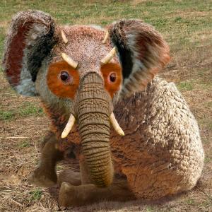 post-208485-0-84159900-1385797440_thumb.