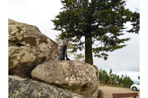 post-485675-0-21156500-1415402165_thumb.