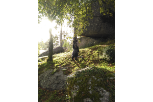 post-485675-0-32414100-1415402026_thumb.