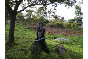 post-485675-0-71680100-1415402020_thumb.