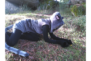 post-485675-0-90055100-1415401934_thumb.