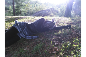 post-485675-0-94279400-1415402161_thumb.