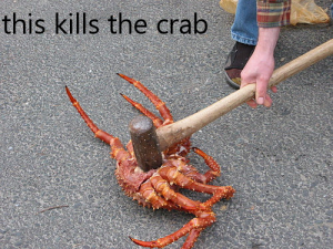 post-362891-0-48373500-1447539138_thumb.