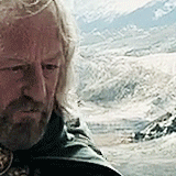 56a647caa9eeb_legolasweirdlook.gif.2d9ac