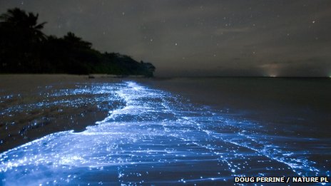 _65311446_01349158.jpg.d7cd40a6e4ce8de1d