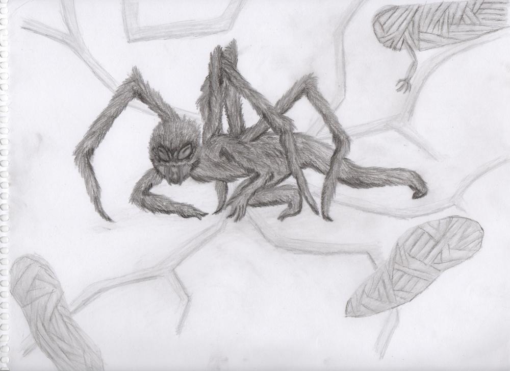 fearl webber.jpeg