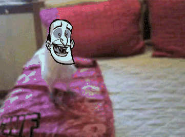 Happy Maxwell.gif