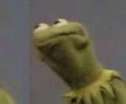 kermit 2.jpg