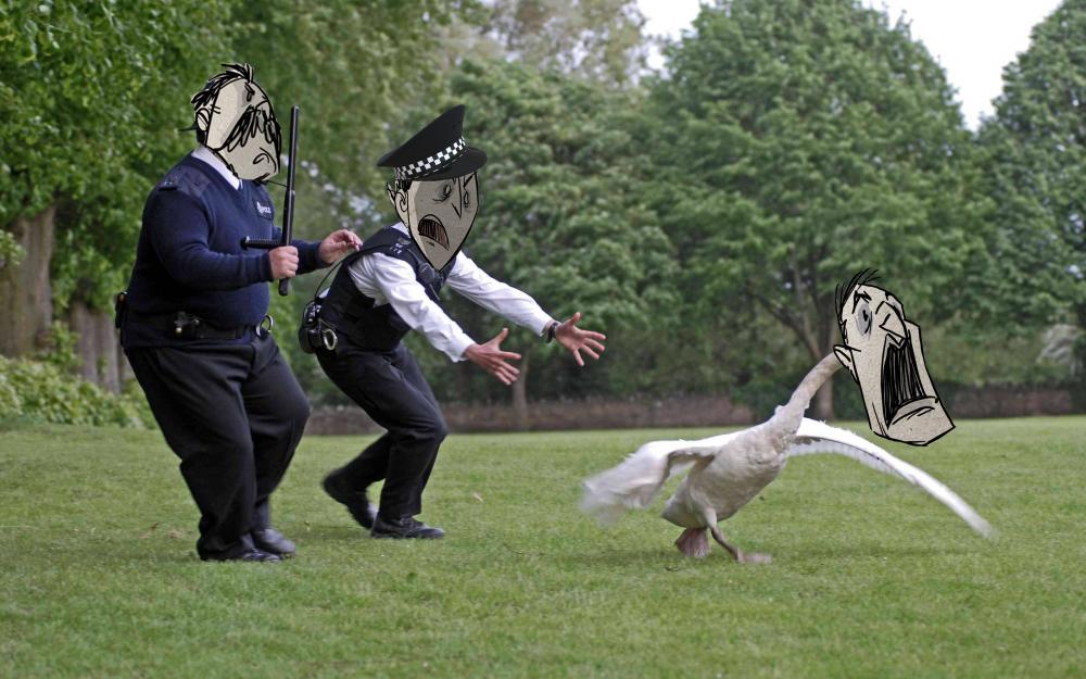lawlwot.jpg
