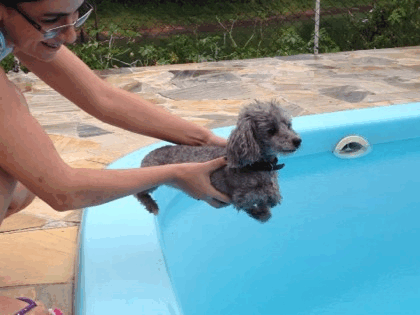 just keep swimming.gif