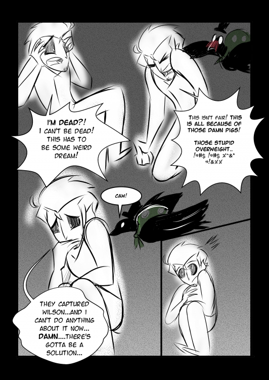 ws page 14.png