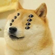 DAREALDOGEMAN.jpg