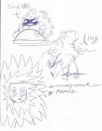 dump2.jpg