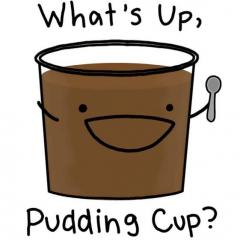 whatuppuddincup