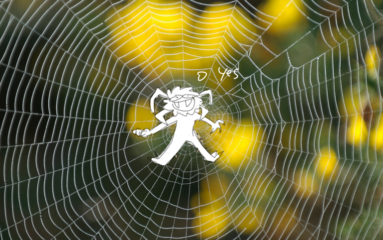 spider-web-2.png