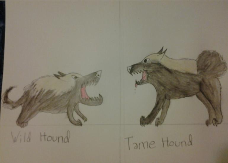 Wild vs Tame.jpg