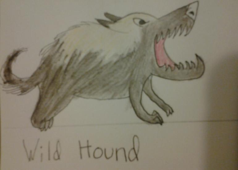 Wild Hound.jpg