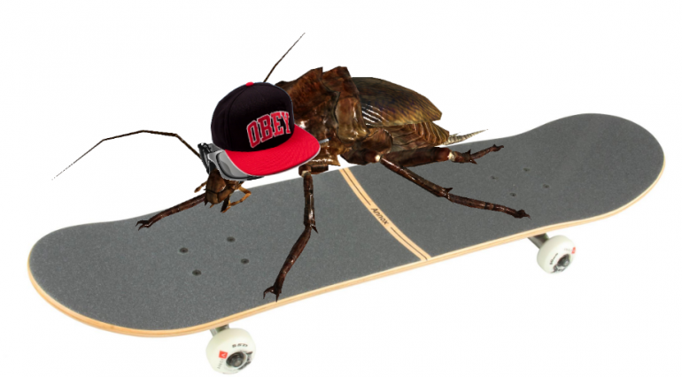 radroach.png