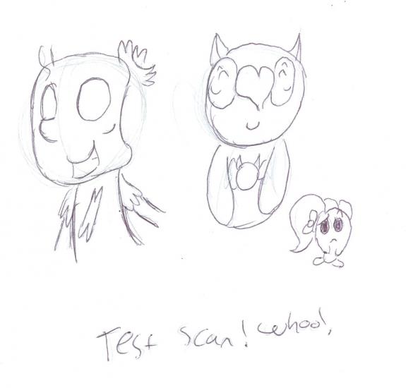 test scan.jpg