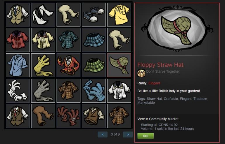 Floppy Straw Hat.jpg