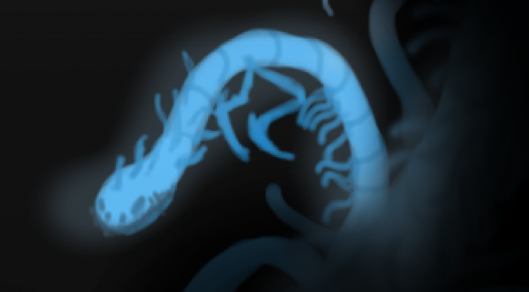 eldersome.png
