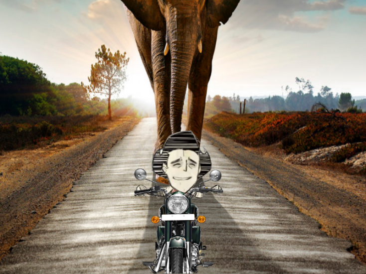 wilcycle2.png