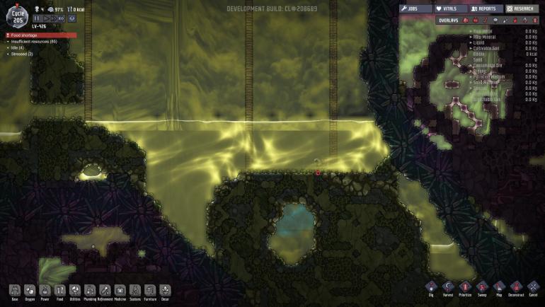 small pond.jpg