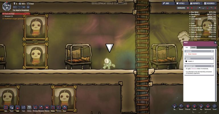 MorbBug.jpg