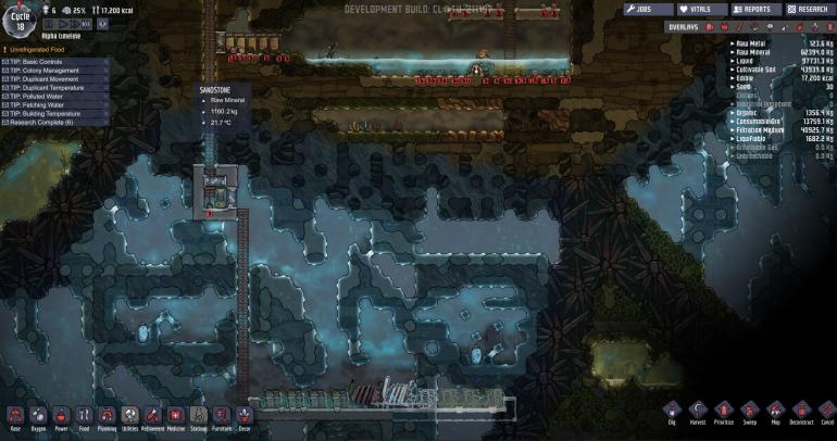 bug1.JPG