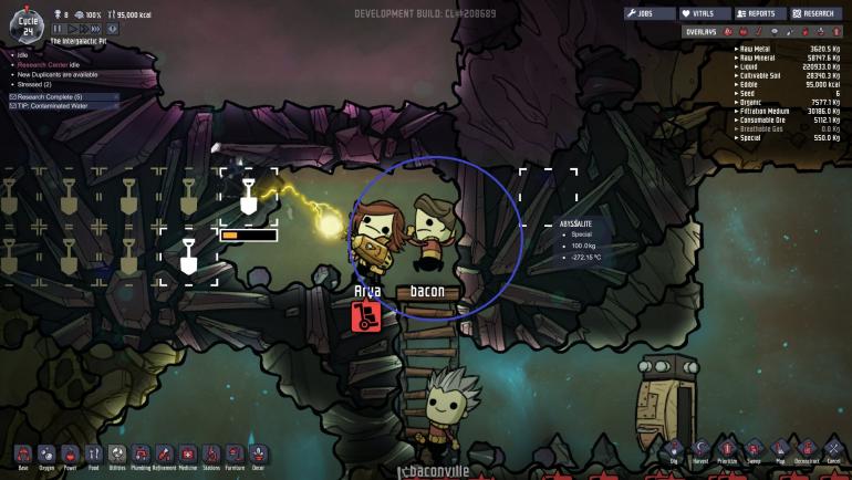 bug3.jpg