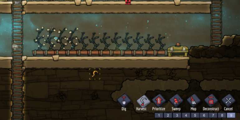 bug3.png