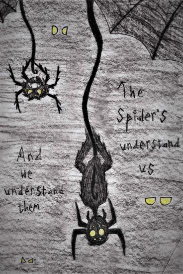 spiders.jpg