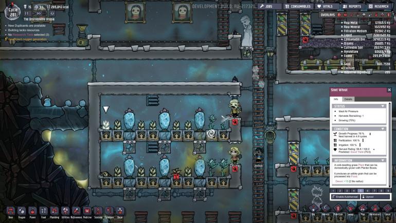 farm1.jpg