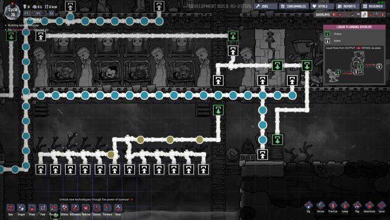 mealwood-irrigation.jpg